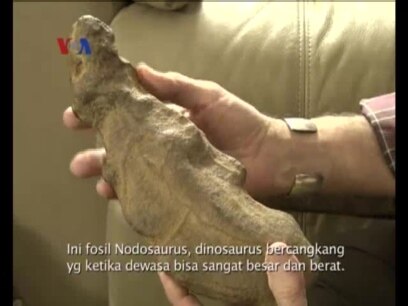 Penelusuran Jejak Dinosaurus - Liputan Feature VOA