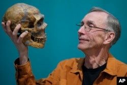 FILE - Swedish scientist Svante Paabo poses with a replica of a Neanderthal skeleton at the Max Planck Institute for Evolutionary Anthropology in Leipzig, Germany, Monday, Oct. 3, 2022.