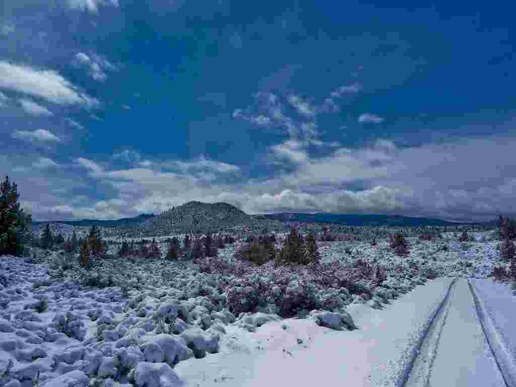 Viajar: California, tierra de paisajes