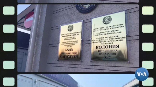 Tovoqsoyda kimlar o'tiribdi? "Men davlat dushmani emasman"