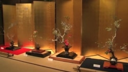 ဂျပန်က Ikebana ပန်းအလှပြင်ပညာ