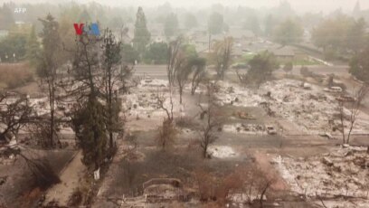 Diaspora Indonesia Bantu Korban Dan Pemadam Kebakaran Di Oregon