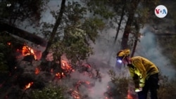 En Fotos: Incendios forestales masivos continúan devastando California