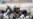 Yemen Peace Talks Delayed