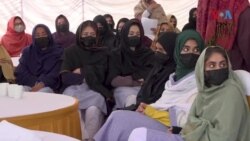 په سوات کې په مختلف شعبو کې کامیابۍ ترلاسه کوونکو ځوانانو په یوه غونډه کې د خپلو کامیابو تجربې شریکې کړې