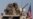 US-Backed Forces Crack Down on Resurgent Islamic State
