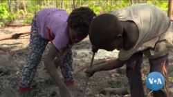 Child Labor Still Robs Millions of Africans of their Childhoods