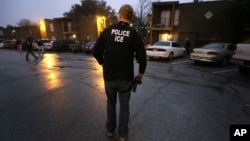 U.S. Immigration and Customs Enforcement agents enter an apartment complex looking for a specific undocumented immigrant convicted of a felony during an early morning operation in Dallas, March 6, 2015.