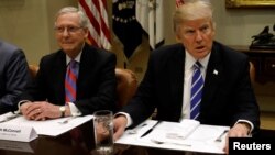 President Donald Trump (R) is seen at a luncheon with Senate Majority Leader Mitch McConnell at the White House in Washington, March 1, 2017.