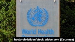 سازمان جهانی صحت