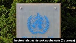 The World Health Organization 