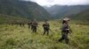 As Colombia's FARC Disarms, Rebels Enlisted to Fight Deforestation