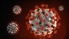 2019 Novel Coronavirus (first detected in Wuhan, China) illustration provided by US Centers for Disease Control and Prevention, on texture, partial graphic