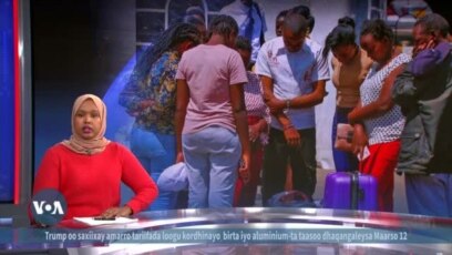 Shaqaalaha Afrika ee dibedda loo diro