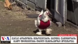 ამერიკა 60 წამში