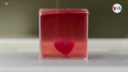 Corazón impreso en 3D