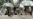 'Occupy Wall Street' Movement Gains Size, Support