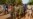Sudan General Says Coup Attempt Foiled