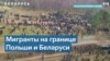 Анна Любакова: режим Лукашенко целенаправленно завозит людей из Ближнего Востока