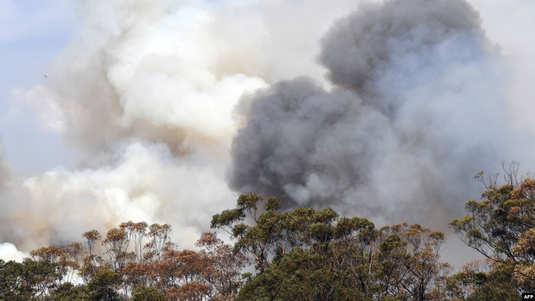 Asap dari kebakaran hutan mengepul di Penrose, negara bagian New South Wales, Australia, pada 10 Januari 2020. (Foto: AFP)