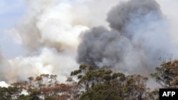 Asap dari kebakaran hutan mengepul di Penrose, negara bagian New South Wales, Australia, pada 10 Januari 2020. (Foto: AFP)