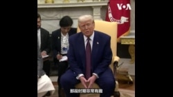 印度总理莫迪与美国总统特朗普、亿万富豪马斯克会面
