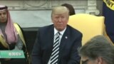 美国观察2018年3月21日