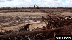 Pembukaan hutan untuk proyek pemerintah di Gunung Mas, Kalimantan, 5 Maret 2021. (Foto: AFP/Galih)