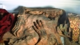 This August 2024 photo provided by researchers shows a mummified human from Peru's Chancay culture. (Tom Kaye via AP)