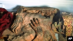 This August 2024 photo provided by researchers shows a mummified human from Peru's Chancay culture. (Tom Kaye via AP)