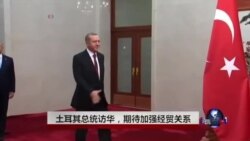 土耳其总统访华，期待加强经贸关系