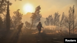 Petugas damkar berupaya memadamkan kebakaran hutan di Penteli, Yunani, 12 Agustus 2024. (Stelios Misinas/REUTERS)