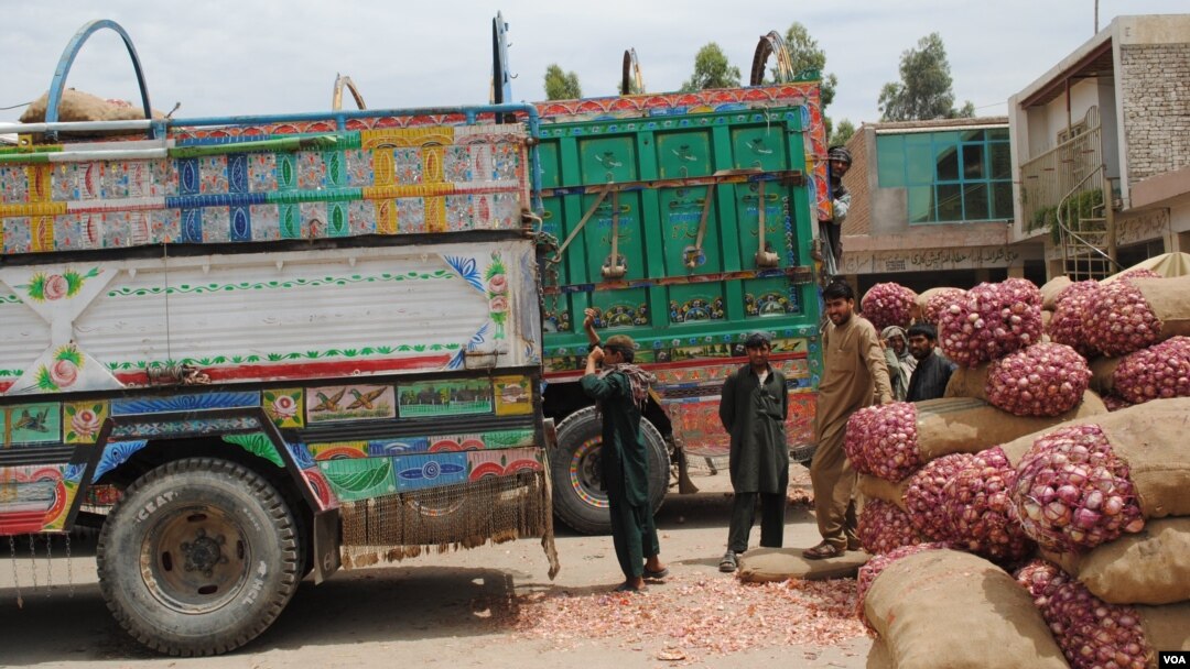 Hasil panen diangkut ke truk Afghanistan untuk dibawa ke Pakistan. (VOA/Bethany Matta)