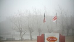 Presidente de Tyson Foods afirma que sus plantas no se paralizarán