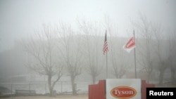 FILE - Fog shrouds a Tyson plant in Burbank, Washington, Dec. 26, 2013. Tyson Foods suspended operations Wednesday at an Iowa plant over a massive coronavirus outbreak.