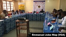 Les participants à l’atelier national sur les libertés publiques à Yaoundé, le 12 mars 2019. (VOA/Emmanuel Jules Ntap)