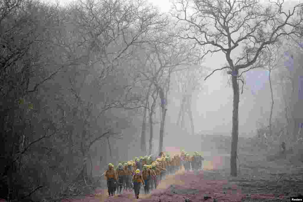 Firefighters from Bolivia's army patrol an area where wildfires have destroyed hectares of forest at Rancho Grande village in Robore, Sept. 24, 2019.