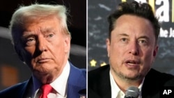 Combinación de fotos en la que aparecen el expresidente y candidato presidencial republicano Donald Trump, en un evento de campaña en NY el 5 de septiembre de 2024 y el multimillonario Elon Musk durante una conferencia en Polonia el 22 de enero de 2024.