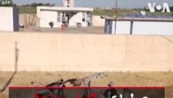 عملیات بقایای داعش در عراق و مرگ دست‌کم ده نفر