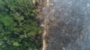 Vista general de un tramo de la selva amazónica que arde mientras es limpiado por madereros y agricultores cerca de Apui. [Foto de archivo]