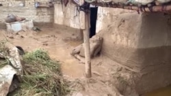 تعداد جان ‌باختگان سیلاب‌های اخیر افغانستان به ۱۵۷ نفر رسید
