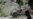 Iran Accuses US of Aiding IS in Afghanistan