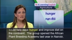 Anh ngữ đặc biệt: Africa Neglected Plants (VOA-Ag Rep)