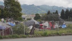 Homeless people and camps in Berkeley, California, in April 2020.