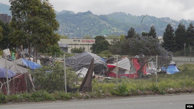 Homeless people and camps in Berkeley, California, in April 2020.