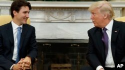 Le Premier ministre canadien Justin Trudeau et le président Donald Trump à la Maison-Blanche, Washington, le 13 février 2017.