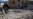 Friendly Fire Kills 20 Troops in Southern Yemen