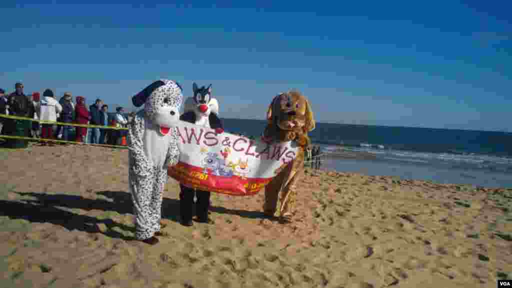 Decenas de personas desafían el frío y las gélidas aguas del Atlántico, en una &quot;carrera de pingüinos&quot; benéfica en la playa de Ocean City, Nueva Jersey. [Fotos: Mitzi Macías, VOA].