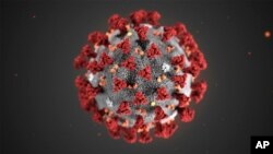 This illustration provided by the Centers for Disease Control and Prevention in January 2020 shows the 2019 Novel Coronavirus (2019-nCoV). This virus was identified as the cause of an outbreak of respiratory illness first detected in Wuhan, China.