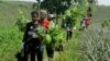 Penanaman Pohon Sukun di Lereng Gunung Kelud, Upaya Pelestarian Lingkungan dan Pemberdayaan Masyarakat